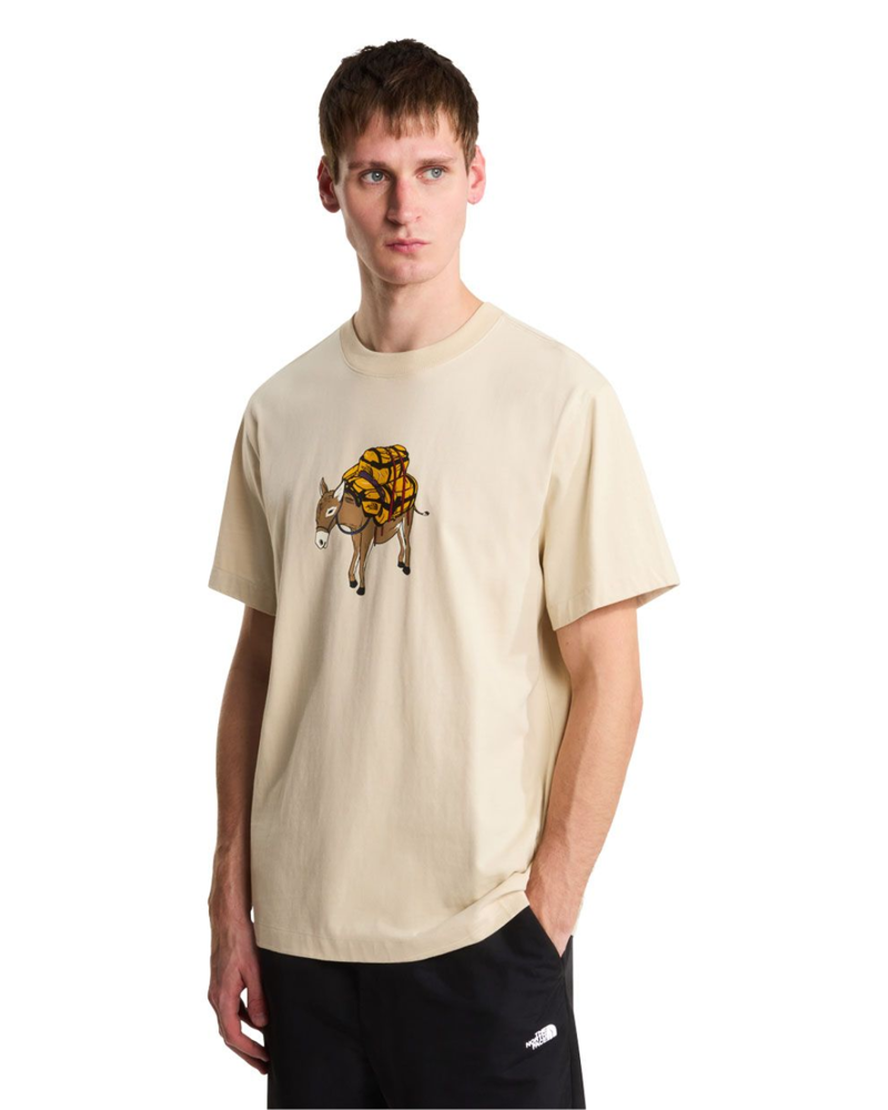 The North Face Mens Donkey Taxi Relaxed S/S Tee in Desert Stone
