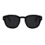 I-Sea Barton Men's Sunglasses in Matt Black/Smoke Polarised