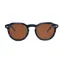 I-Sea Blair Men's Sunglasses in Blue with Brown Lens