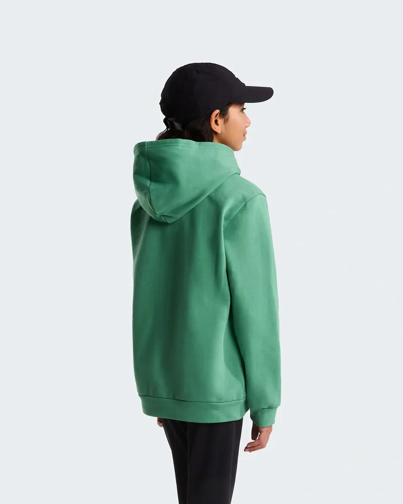The North Face Kids Evolution Simple Dome Pullover Hoody in Dimmed Alge-5