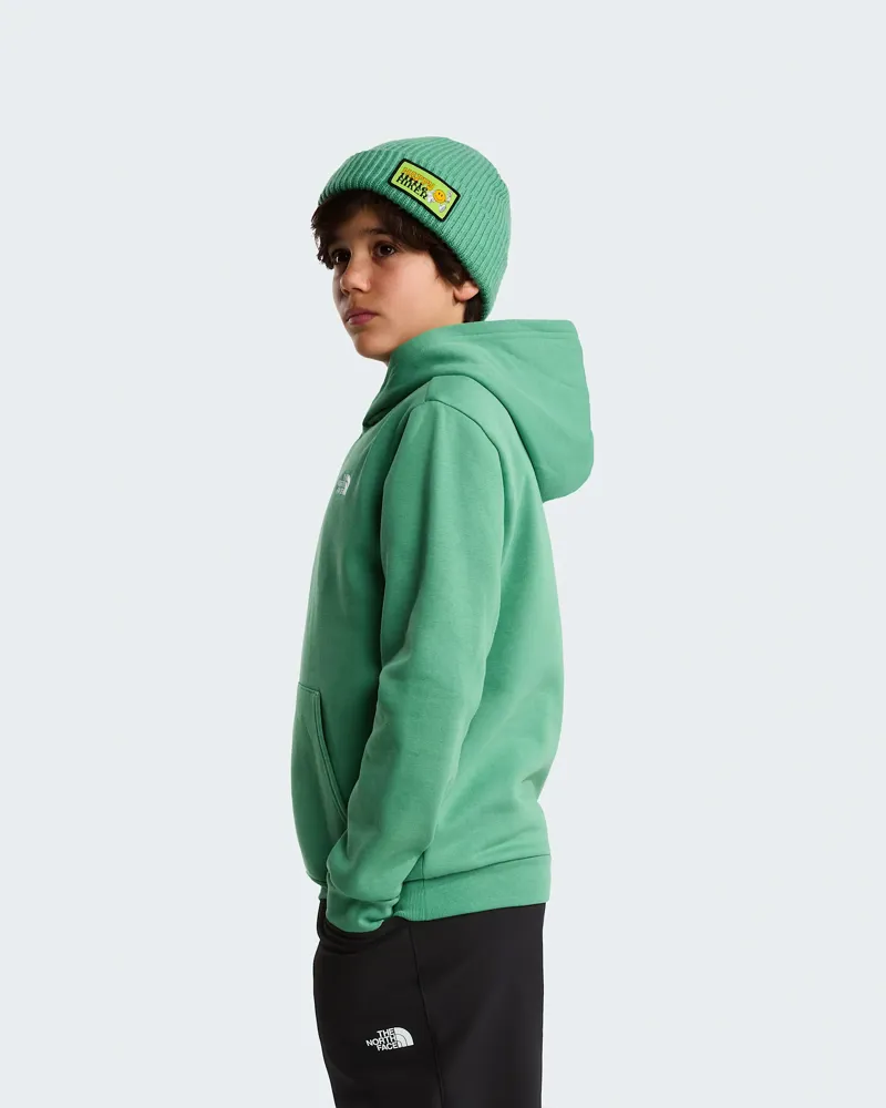 The North Face Kids Evolution Simple Dome Pullover Hoody in Dimmed Alge-11