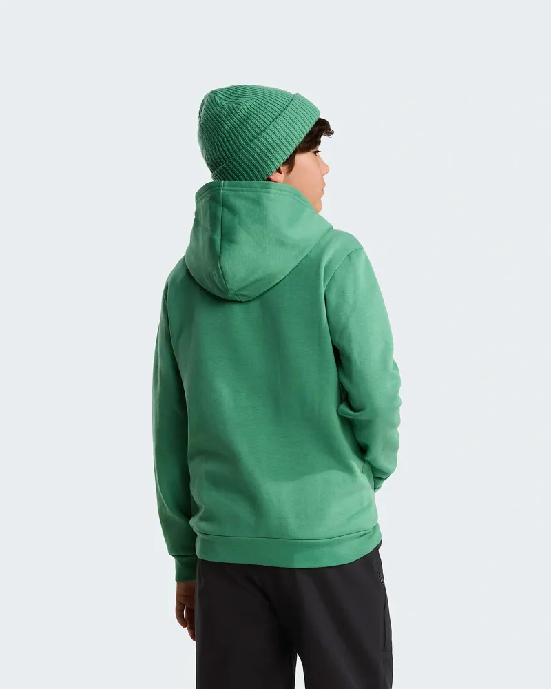 The North Face Kids Evolution Simple Dome Pullover Hoody in Dimmed Alge-12