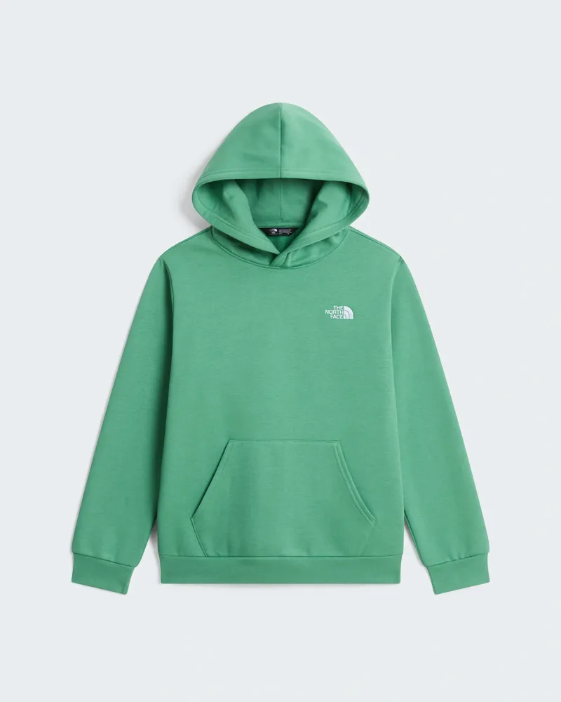 The North Face Kids Evolution Simple Dome Pullover Hoody in Dimmed Alge-1
