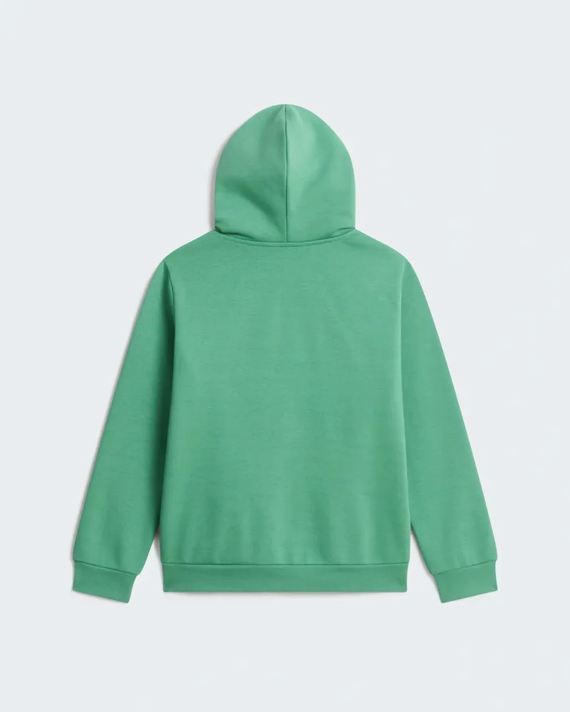 The North Face Kids Evolution Simple Dome Pullover Hoody in Dimmed Alge-2