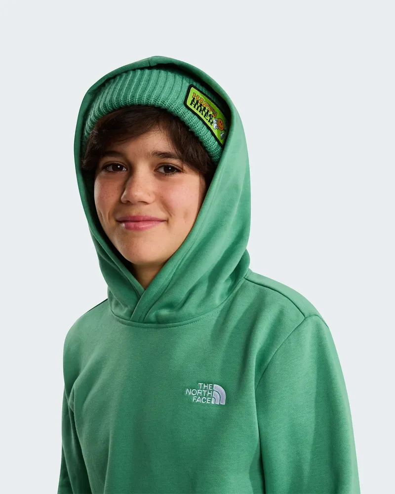 The North Face Kids Evolution Simple Dome Pullover Hoody in Dimmed Alge-10