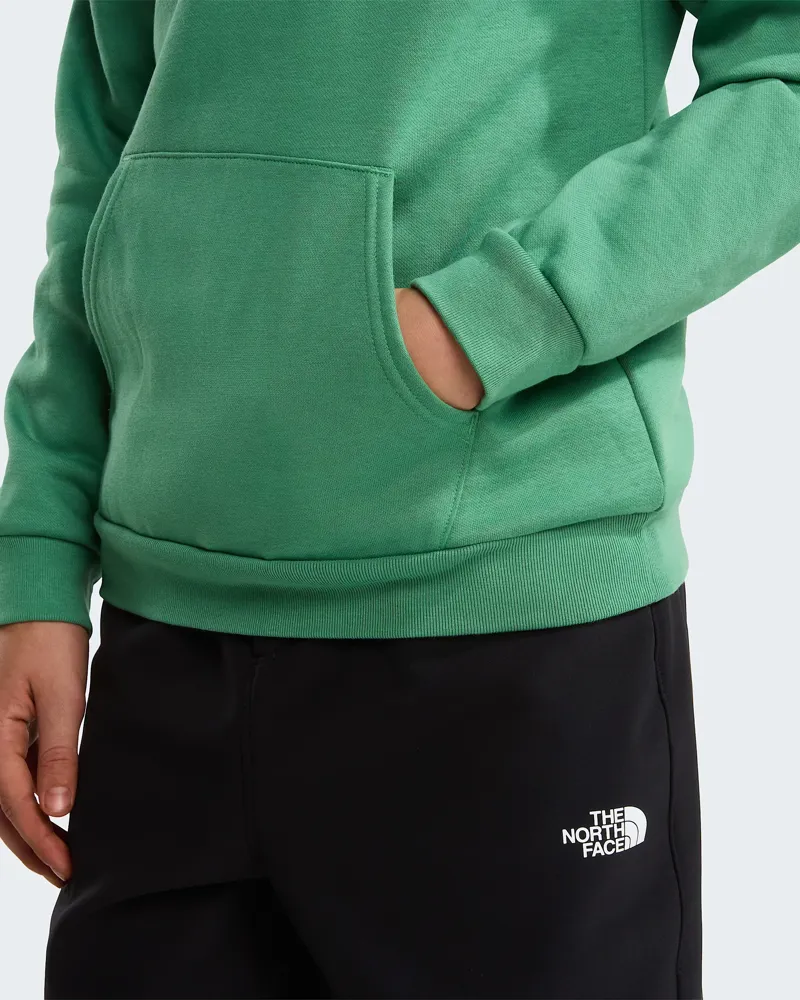 The North Face Kids Evolution Simple Dome Pullover Hoody in Dimmed Alge-8
