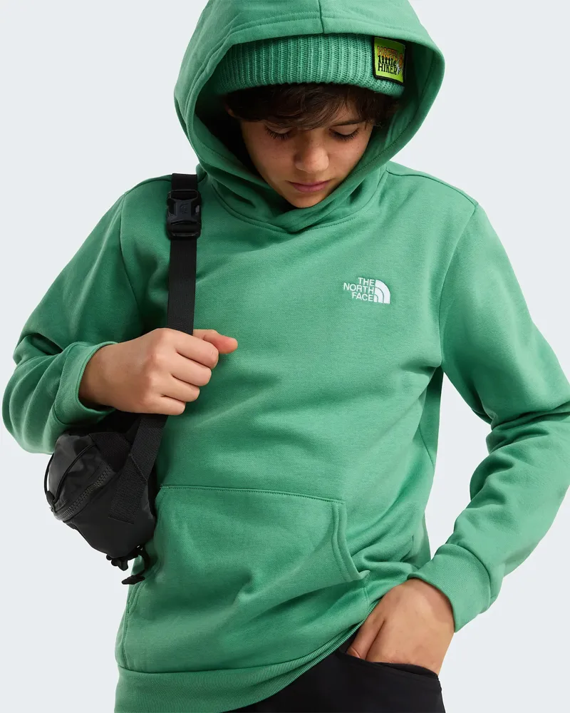 The North Face Kids Evolution Simple Dome Pullover Hoody in Dimmed Alge-6