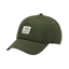 Columbia Unisex Provisions Ball Cap in Greenscape / Woven Bear