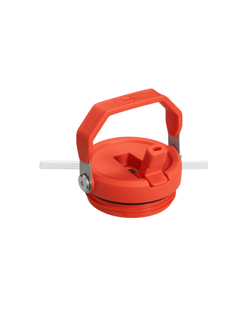 Stanley IceFlow Flip Straw Tumbler 0.89L in Plum-1