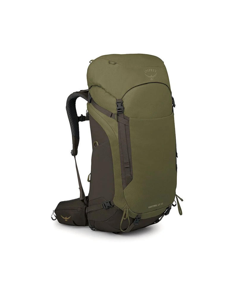 Osprey Kestrel Lt 65 in Moss Green