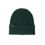 Patagonia Fishermans Rolled Beanie in Cascade Green