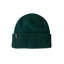 Patagonia Brodeo Beanie in Cascade Green