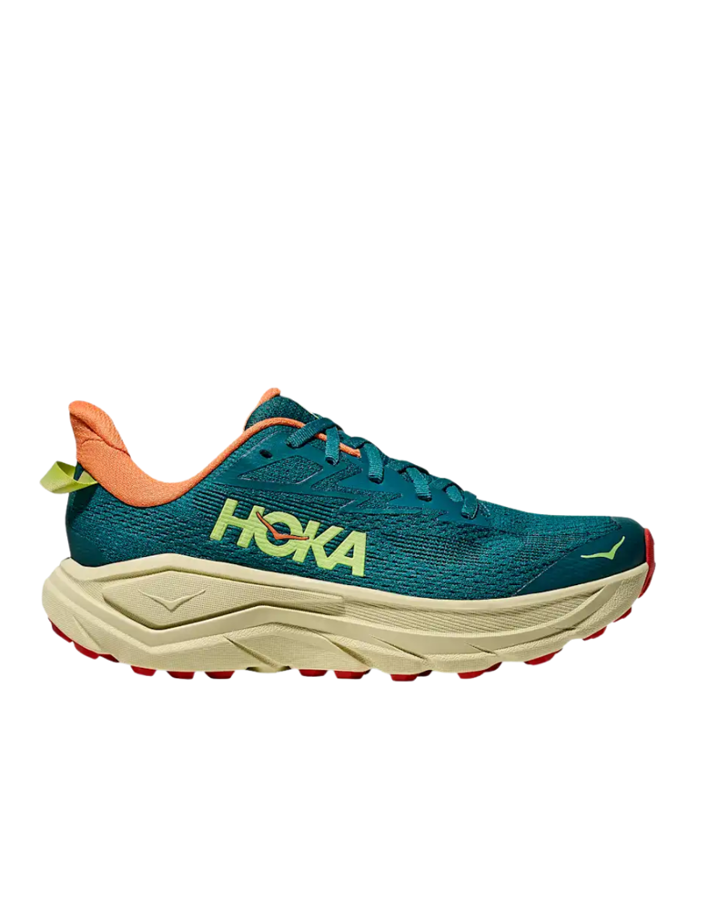 Hoka Womens Challenger 8 in Tidal Wave / Pampas Grass