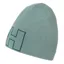 Helly Hansen Outline Beanie in Cactus