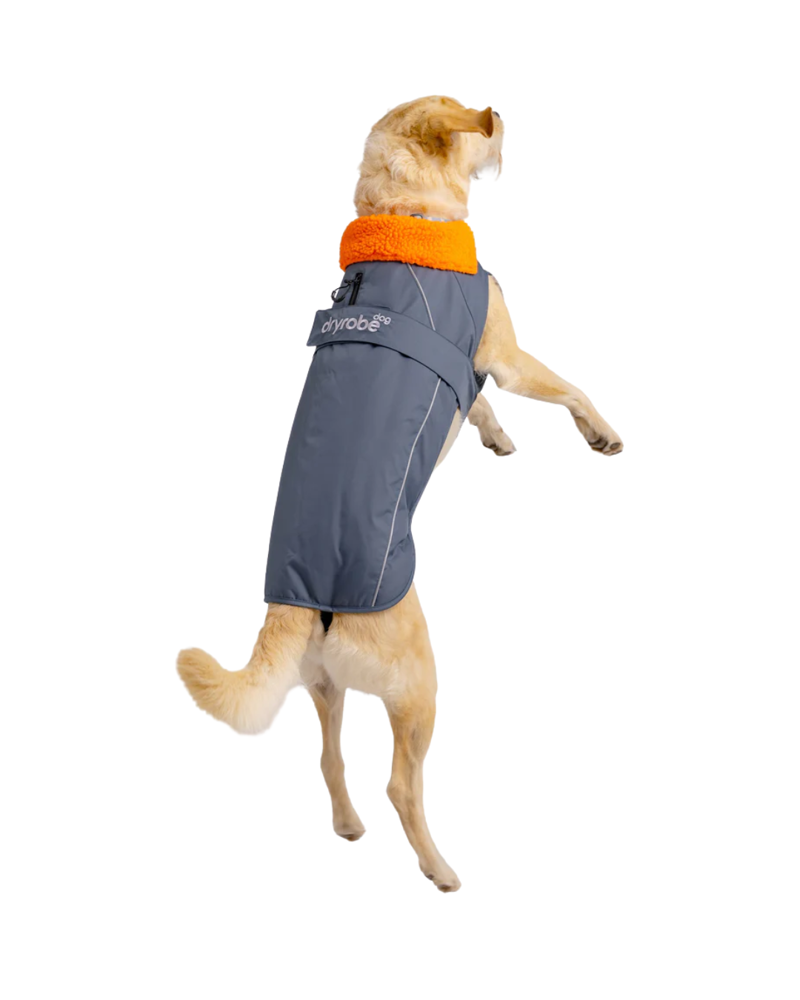 Dryrobe Dog in Dark Grey / Orange-1