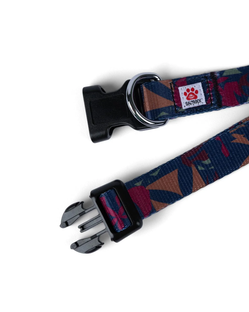 Saltrock Balance Pet Collar in Bluedres-1