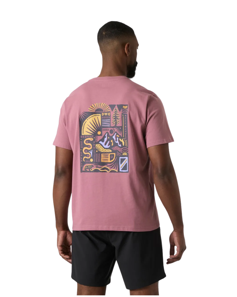 Helly Hansen Mens Massif Graphic T-Shirt in Wildberry-1