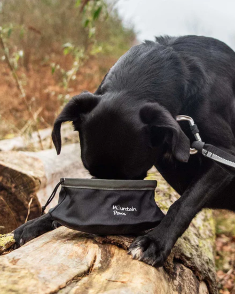 Mountain Paws Collapsible Dog Food Bowl in Black-1