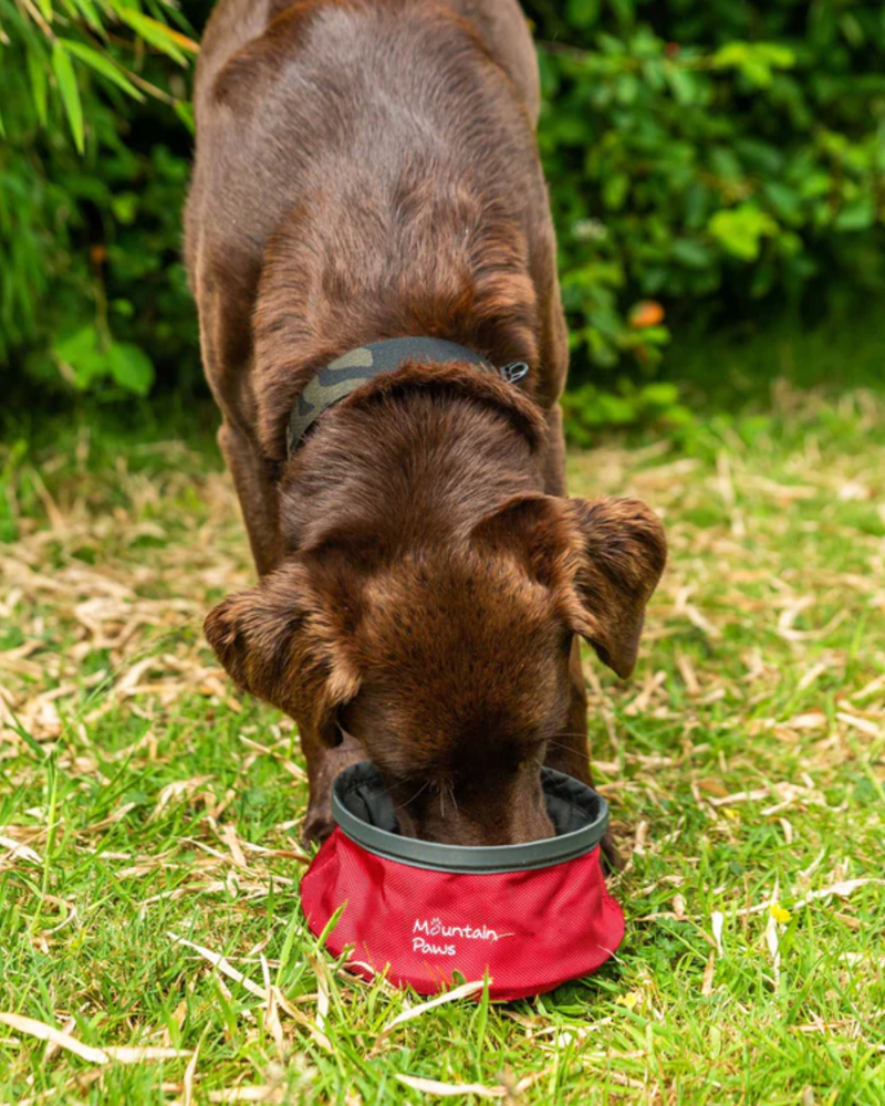 Mountain Paws Collapsible Dog Water Bowl in Red-1