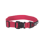 Mountain Paws Extra Tough Dog Collar in Red