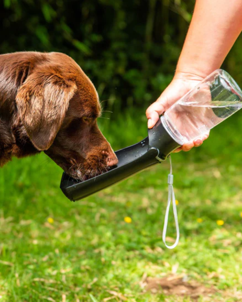Mountain Paws Folding Dog Water Bottle-1