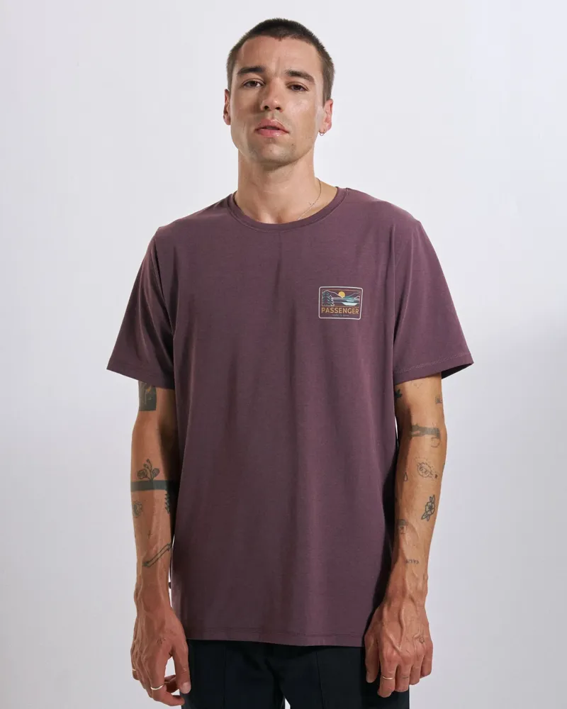 Passenger Mens Roamer Recycled Active T-Shirt in Brambleberry-2