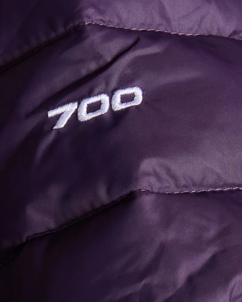 The North Face Women's Classic Down Hooded Jacket in Endless Dusk-10