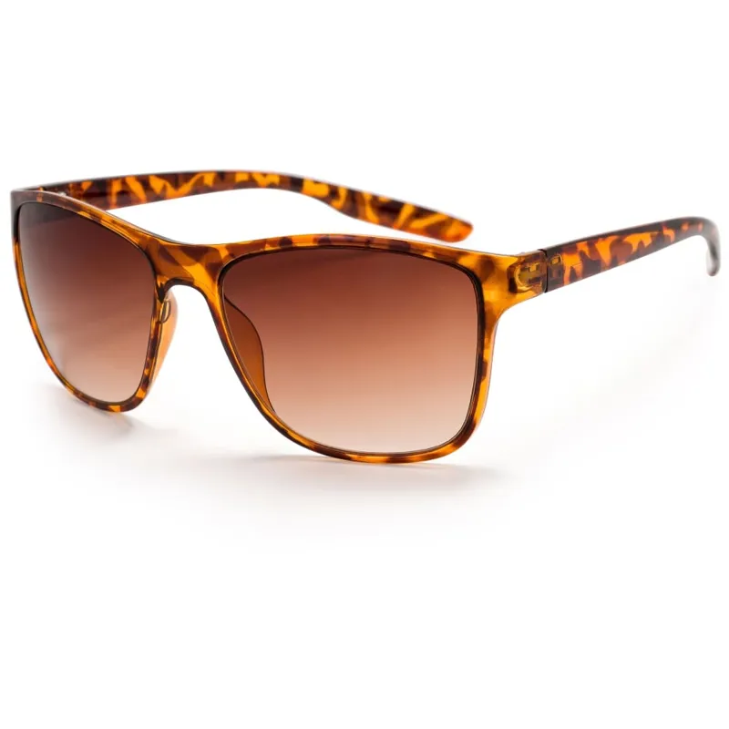 Bloc Cruise 2 Sunglasses - Shiny Tort with Brown Graduated Lens