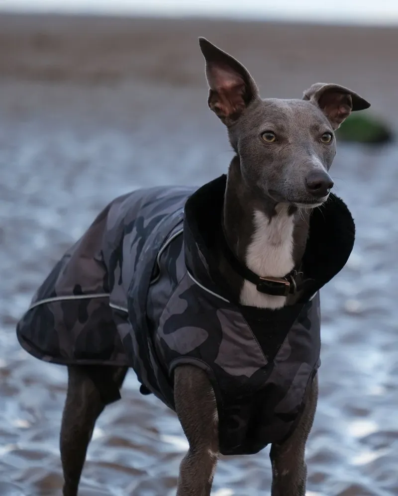 Dryrobe Dog Coat in Black Camo / Black-6
