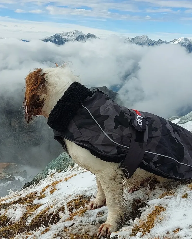 Dryrobe Dog Coat in Black Camo / Black-8
