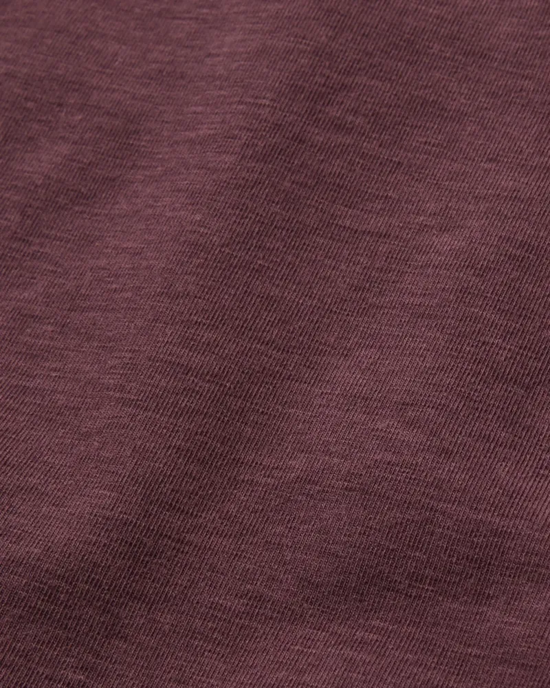 Passenger Mens Roamer Recycled Active T-Shirt in Brambleberry-8