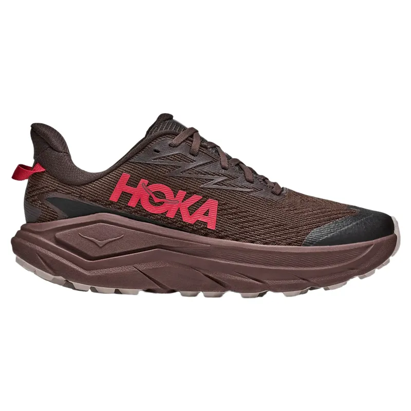 Hoka Mens Challenger 8 GTX Shoes in Spiced Chocolate / Cast Iron