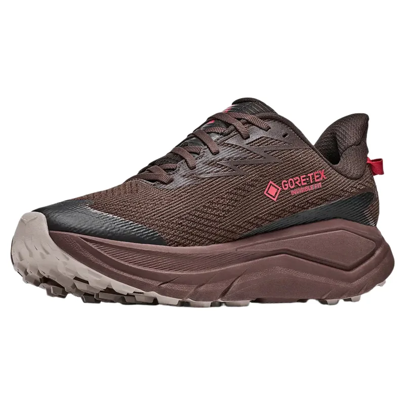 Hoka Mens Challenger 8 GTX Shoes in Spiced Chocolate / Cast Iron-2