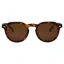 I-Sea Men's Blair Conklin Sunglasses in Tortoise with Brown Polarized Lens