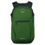 Osprey Daylite Plus Pack in Pistachio