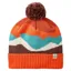 Passenger Scenic Bobble Beanie 2.0 in Scenic Chestnut