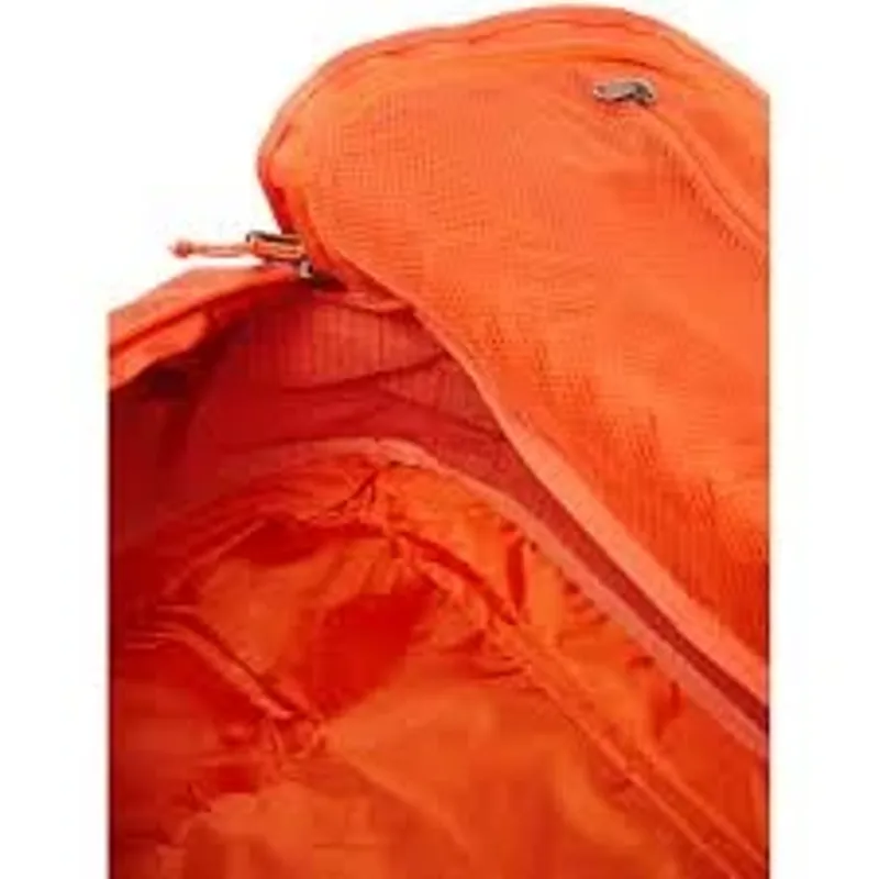 Patagonia Black Hole Duffel 55L in Pollinator Orange-2