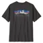 Patagonia Men's Fitz Roy Foothills T-Shirt in Ink Black