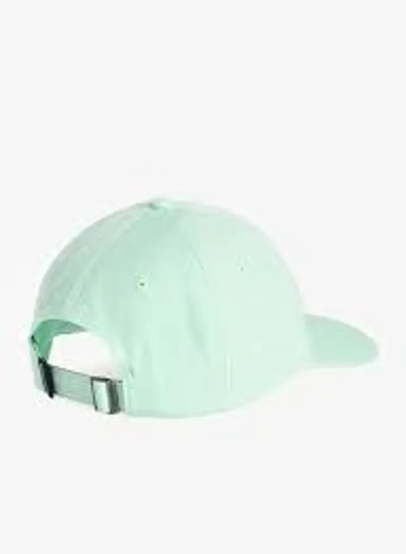 Patagonia P-6 Label Trad Cap in Rinsed Green-1