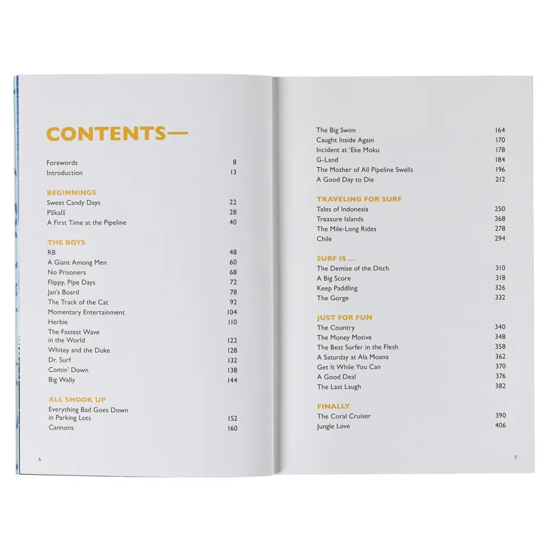 Patagonia Surf Is Where You Find It 3rd Edition Paperback-2