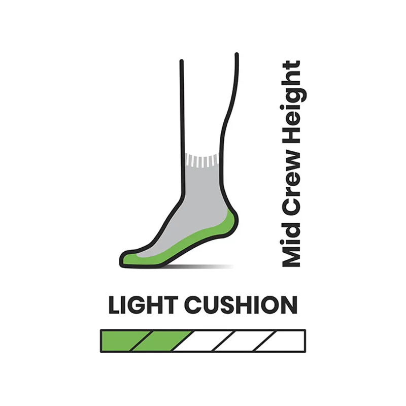 Smartwool Hike Light Cushion Striped Mid Crew Socks in Taupe -1