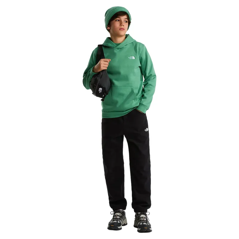 The North Face Kids Evolution Simple Dome Pullover Hoody in Dimmed Alge
