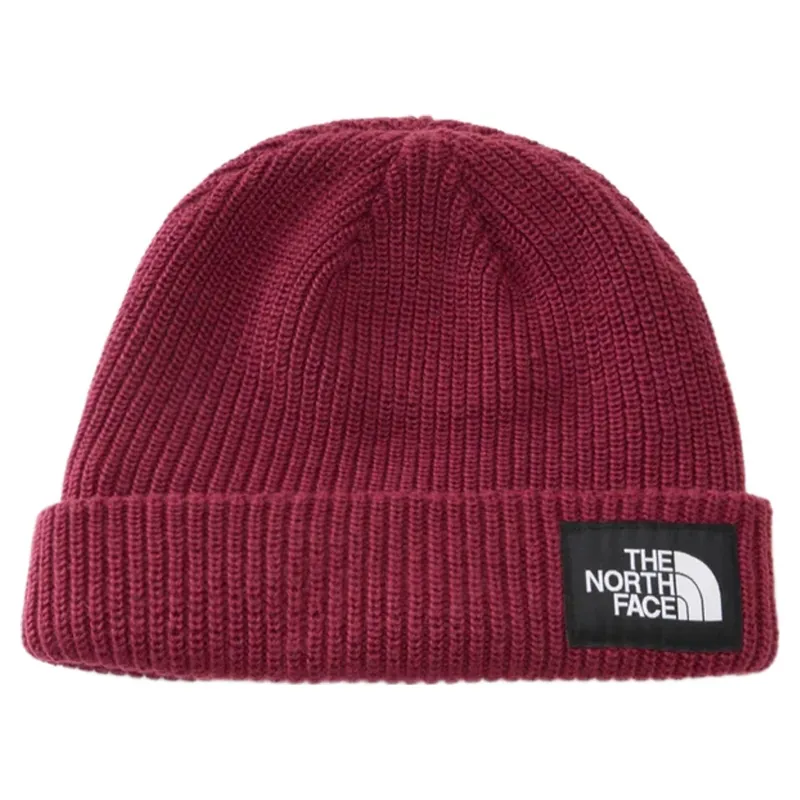 The North Face Salty Lined Beanie in Burgundy Crush