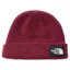 The North Face Salty Lined Beanie in Burgundy Crush