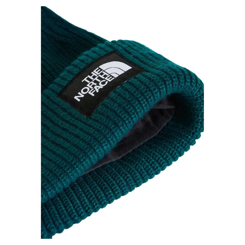 The North Face Salty Lined Beanie in Pacific Teal-2