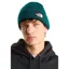 The North Face Salty Lined Beanie in Pacific Teal
