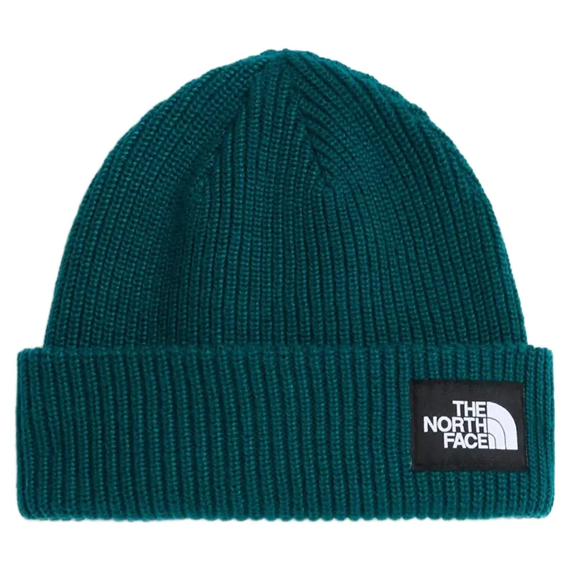 The North Face Salty Lined Beanie in Pacific Teal-1