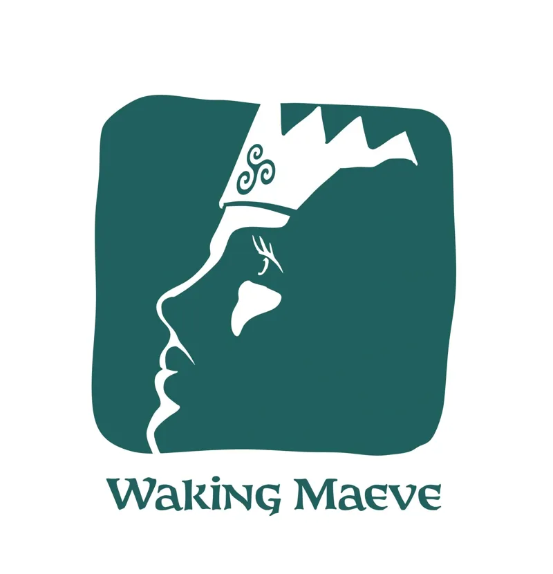 Seamus McGoldrick Waking Maeve Print Book-1