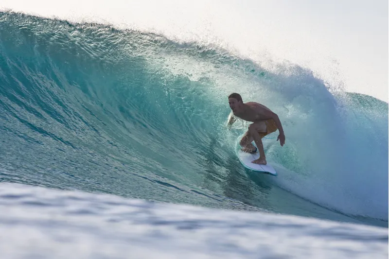 Shop our range of Surfboards and start your Surfing Adventure Now