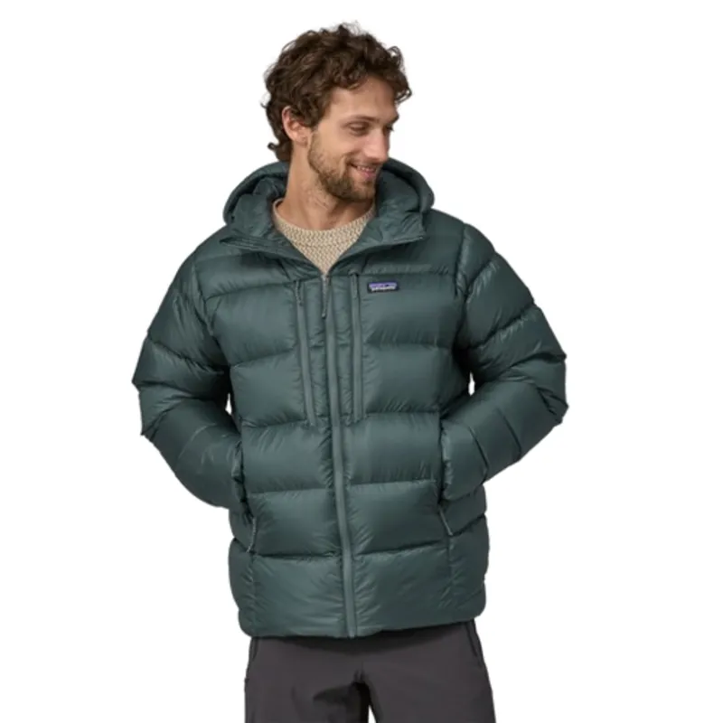 Patagonia Mens Fitz Roy Down Hoody in Nouveau Green